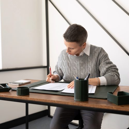 accountant at work in the office